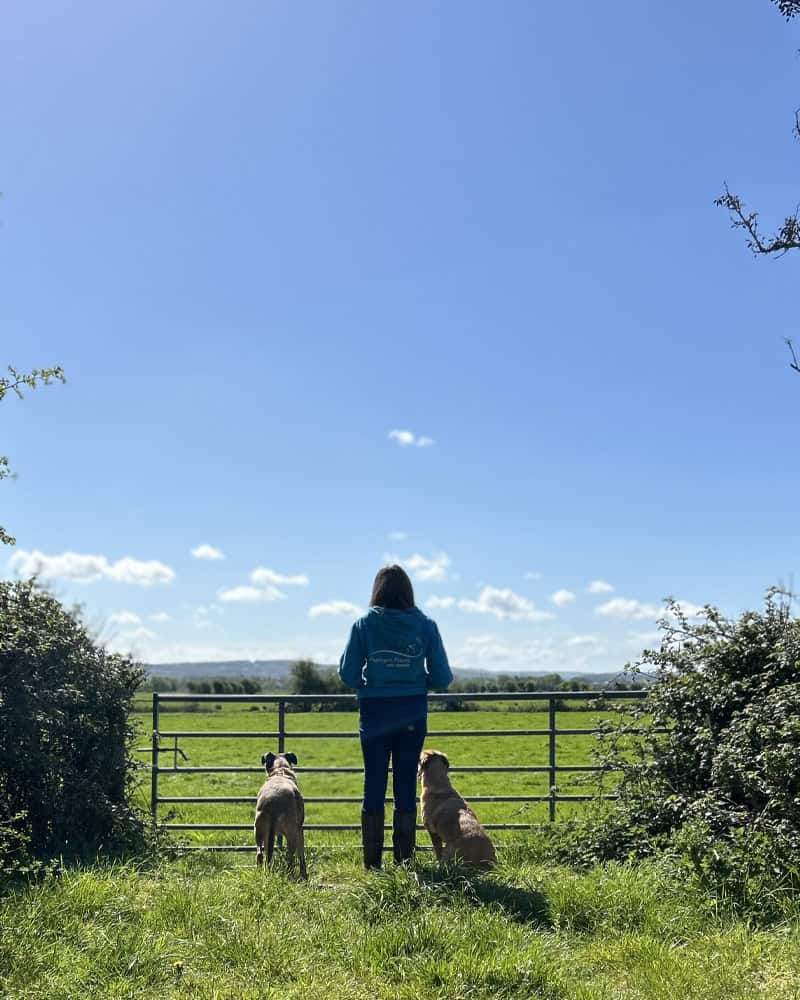 Founder George Fairlight Dog Training
