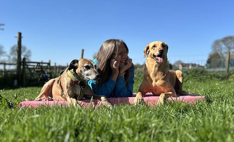 George from Fairlight Dog Training Tickenham relaxing with her dogs in her private dog training field