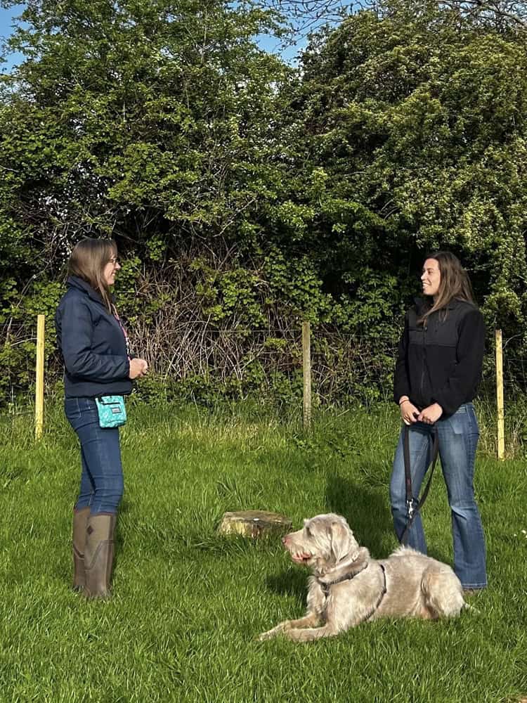 1 1 Dog Training in Nailsea, Clevedon & Portishead