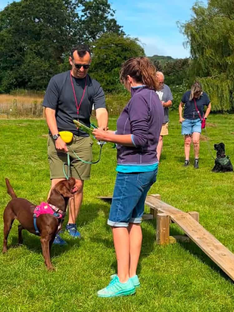 Companion Gundog Classes Nailsea Clevedon Portishead Yatton Failand Backwell Congresbury Weston Super Mare Long Ashton Wraxhall