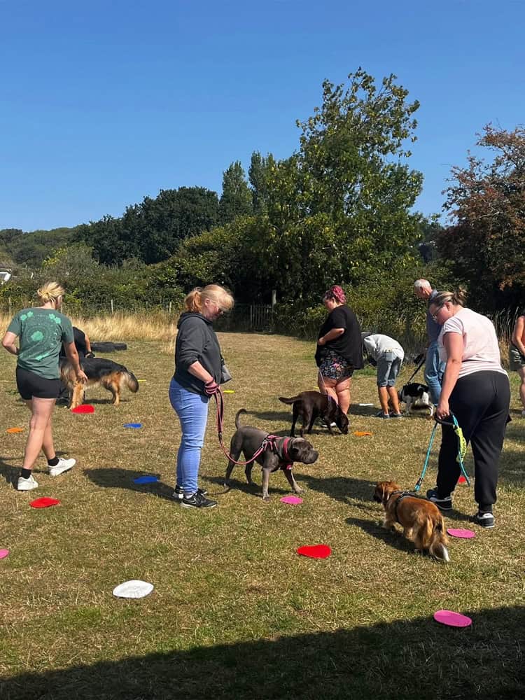 dog training life skills workshops Nailsea, Clevedon & Portishead
